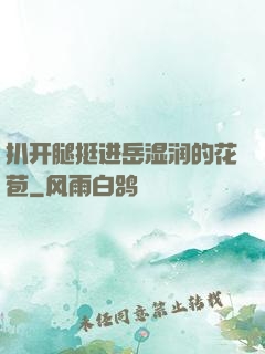 扒开腿挺进岳湿润的花苞
