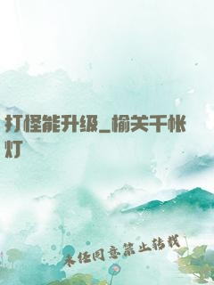 打怪能升级