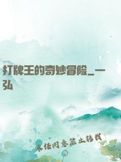 打牌王的奇妙冒险