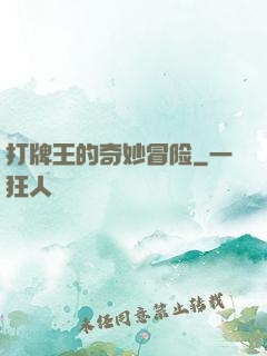 打牌王的奇妙冒险