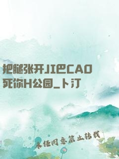 把腿张开JI巴CAO死你H公园