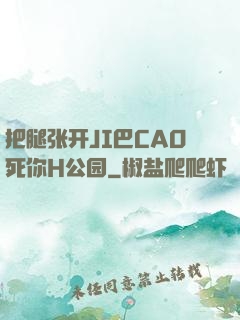 把腿张开JI巴CAO死你H公园