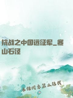 抗战之中国远征军