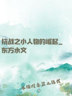 抗战之小人物的崛起