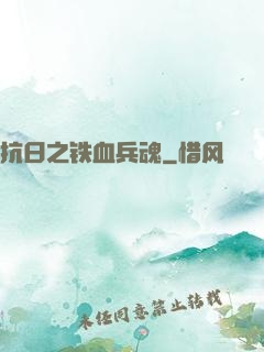 抗日之铁血兵魂