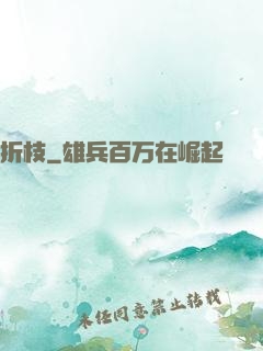 折枝