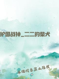 护国战神