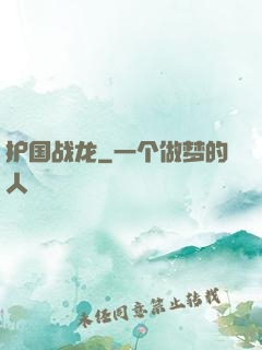 护国战龙