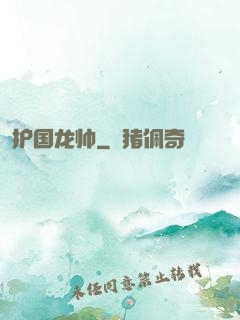 护国龙帅