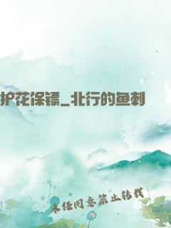 护花保镖