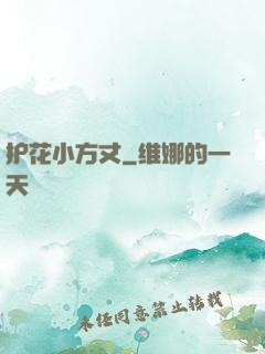 护花小方丈