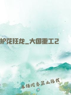 护花狂龙