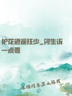 护花逍遥狂少