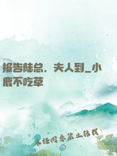 报告陆总，夫人到