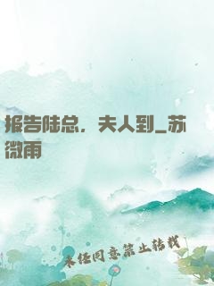 报告陆总，夫人到