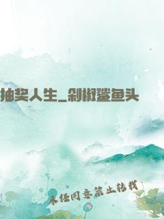 抽奖人生