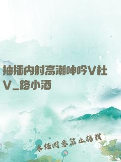 抽插内射高潮呻吟V杜V
