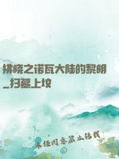 拂晓之诺瓦大陆的黎明
