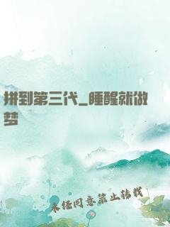 拼到第三代