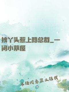 拽丫头惹上酷总裁