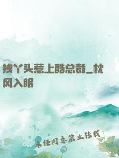 拽丫头惹上酷总裁