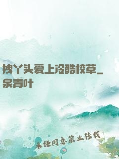 拽丫头爱上冷酷校草