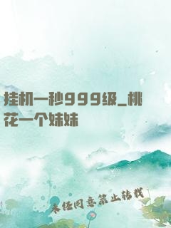 挂机一秒999级