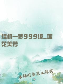 挂机一秒999级