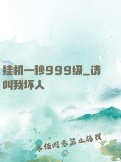 挂机一秒999级