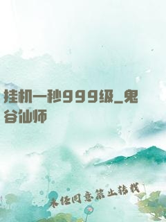 挂机一秒999级