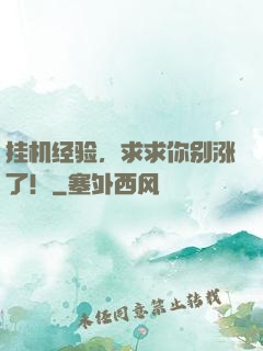 挂机经验，求求你别涨了！