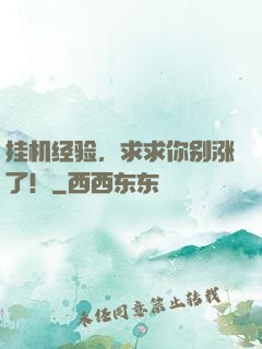 挂机经验，求求你别涨了！