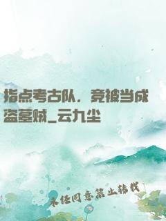 指点考古队，竟被当成盗墓贼