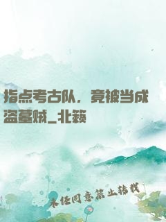 指点考古队，竟被当成盗墓贼