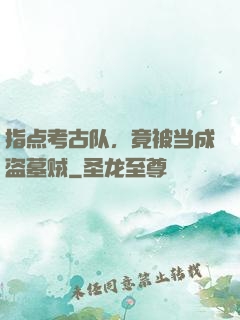 指点考古队，竟被当成盗墓贼
