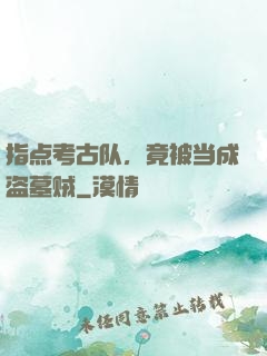 指点考古队，竟被当成盗墓贼
