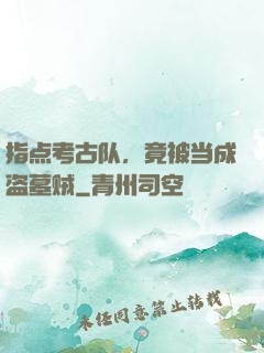 指点考古队，竟被当成盗墓贼