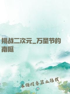 挑战二次元