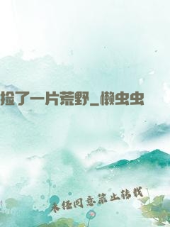 捡了一片荒野