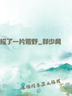 捡了一片荒野