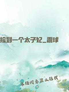 捡到一个太子妃