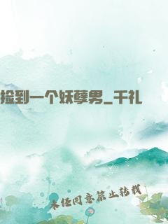 捡到一个妖孽男