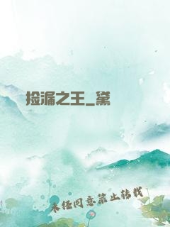 捡漏之王