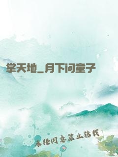 掌天地