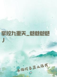 掌控九重天