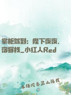 掌柜驾到：陛下夜夜，宿客栈