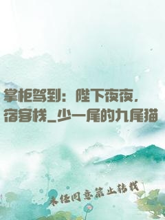 掌柜驾到：陛下夜夜，宿客栈