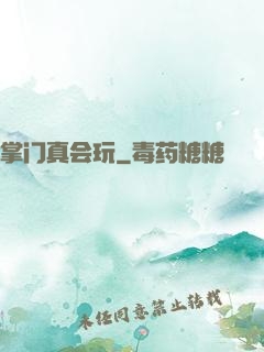 掌门真会玩