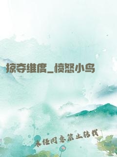 掠夺维度