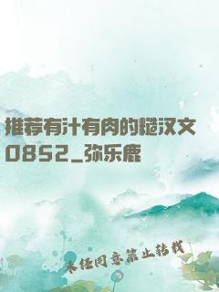 推荐有汁有肉的糙汉文0852